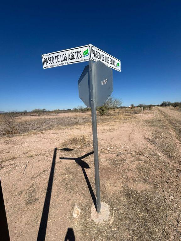 Foto de la galeria de imagenes